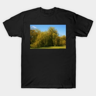 Willow T-Shirt